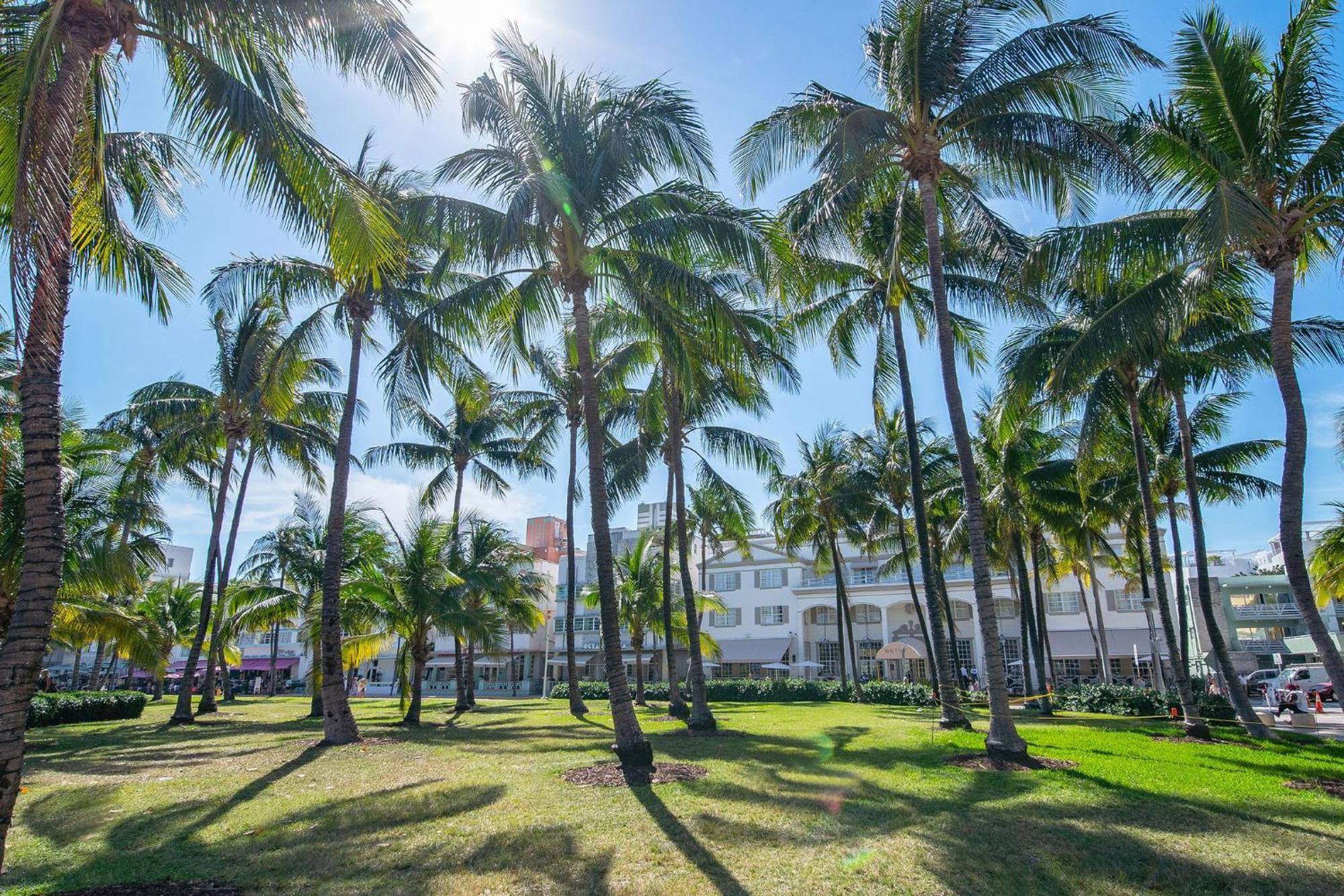 Chic Large Studio Apt Near Ocean Drive South Beach Miami Beach Luaran gambar
